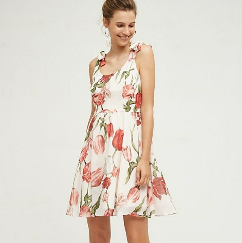 NWT ANTHROPOLOGIE Paper crown Tulipa dress M